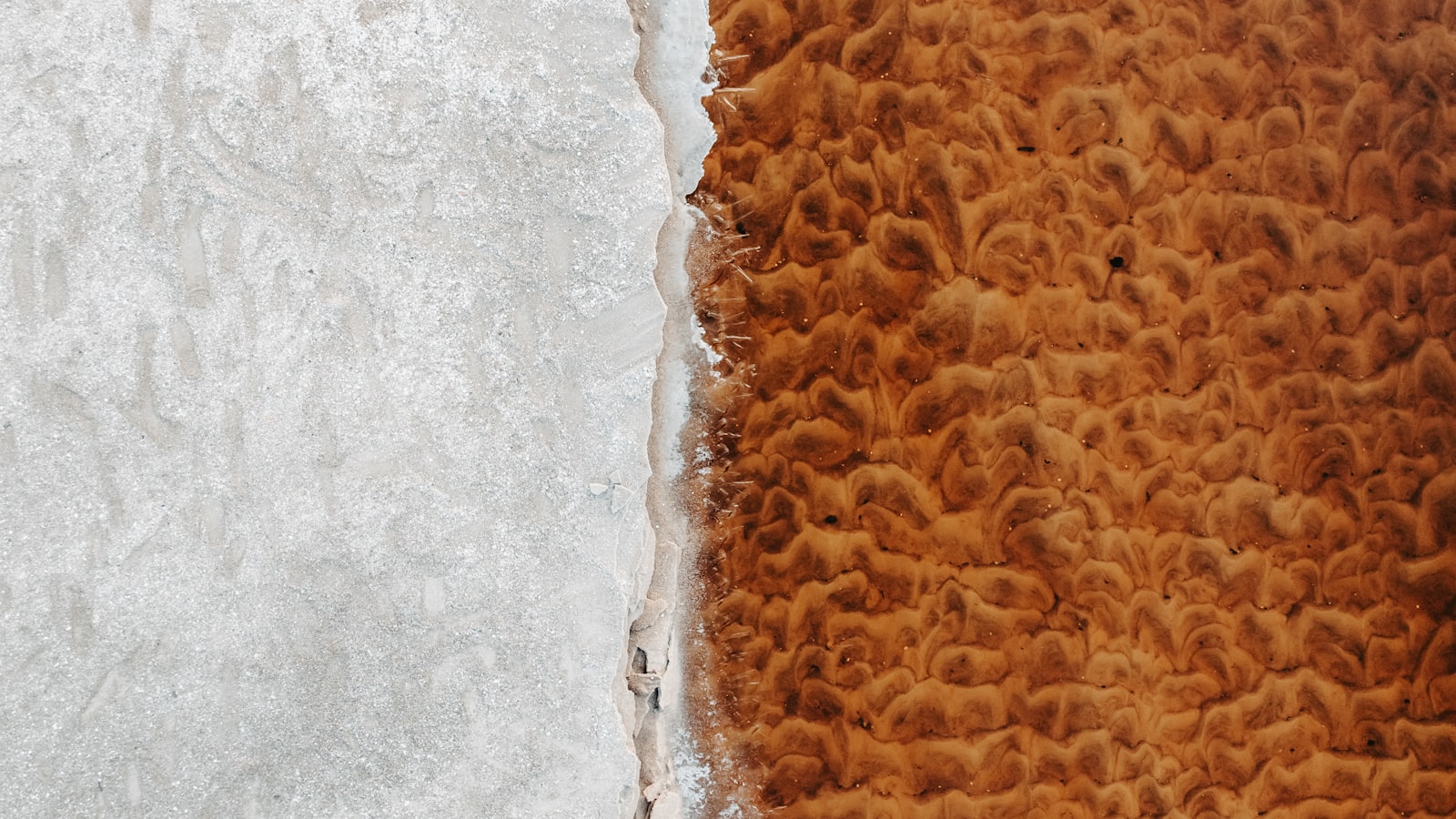 Overhead close-up of frost-covered ground meeting a patch of weathered bark, two distinct natural textures divided by a single clean line